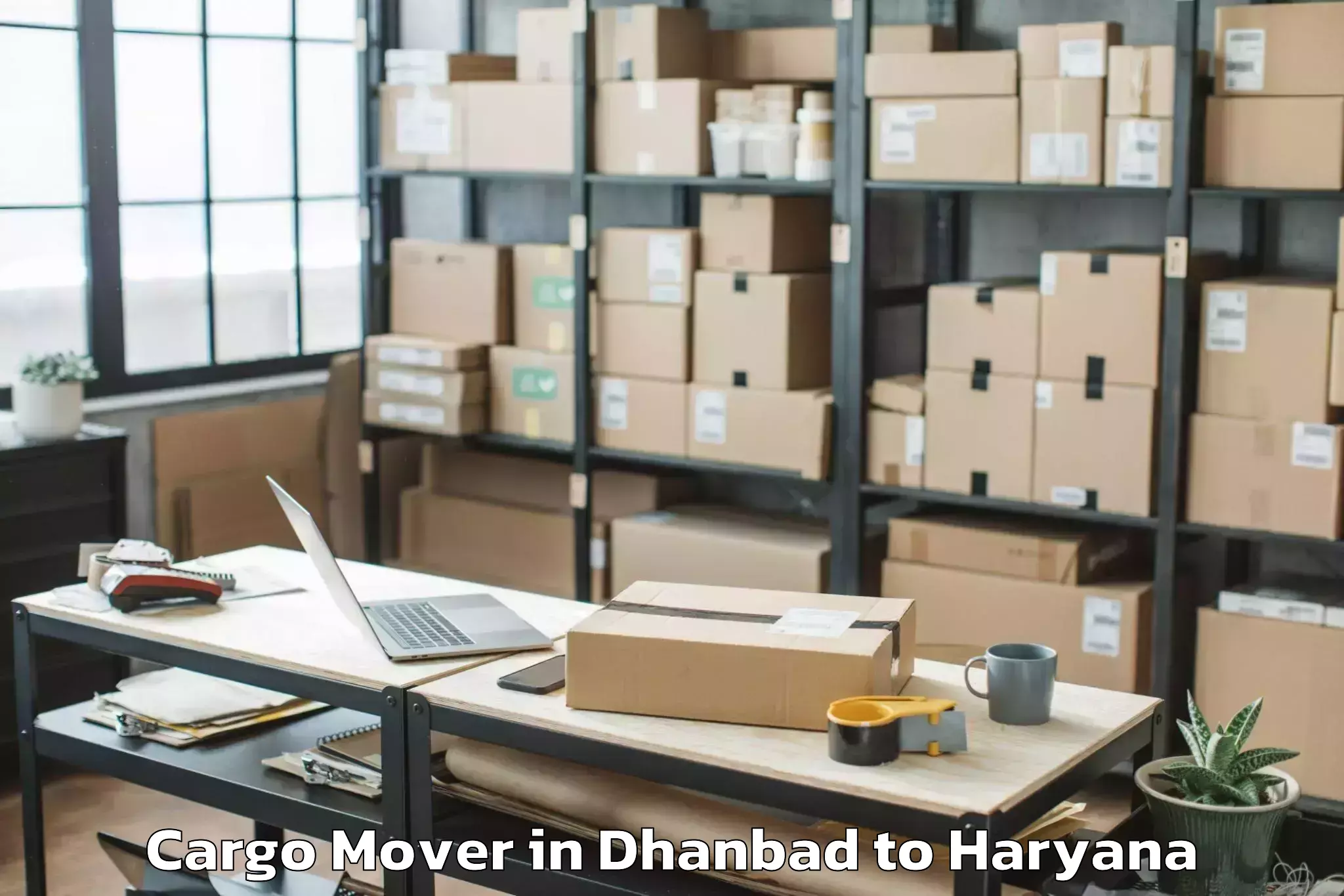 Quality Dhanbad to Srm University Haryana Sonipat Cargo Mover